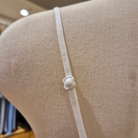 립조직 본딩 브라미