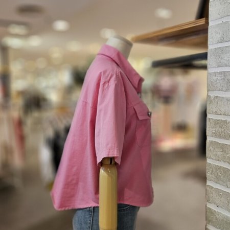 카라 크롭 남방