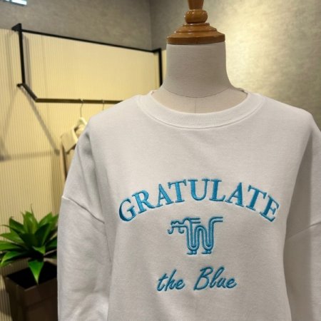 자수 레터링 숏 티셔츠