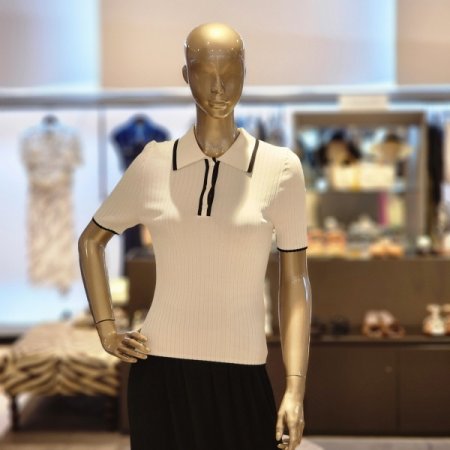 배색라인 카라 골지 반팔니트