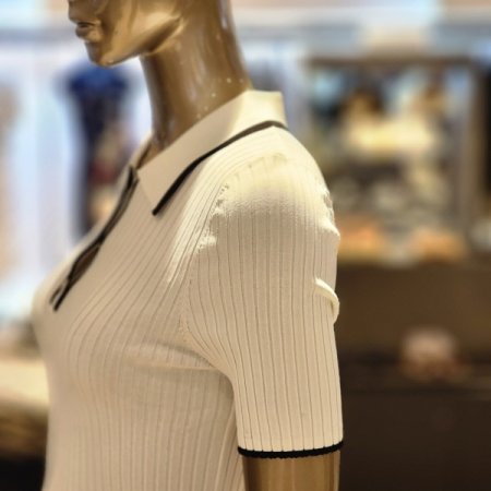 배색라인 카라 골지 반팔니트