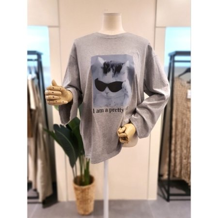 선글 고양이 긴팔티 그레이