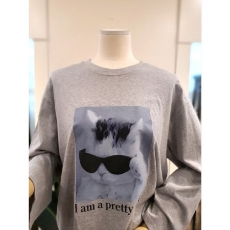 선글 고양이 긴팔티 그레이