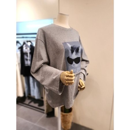 선글 고양이 긴팔티 그레이