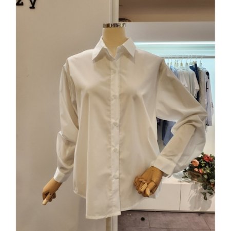 베이직 기본 카라 셔츠