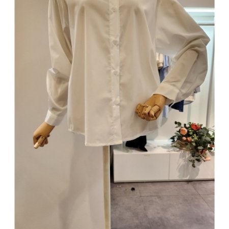 베이직 기본 카라 셔츠