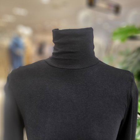 긴목슬림폴라티