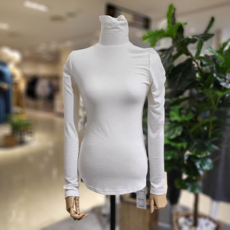 긴목슬림폴라티