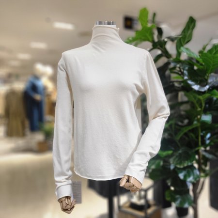 긴팔목폴라니트