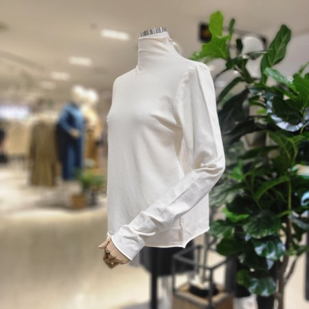 긴팔목폴라니트