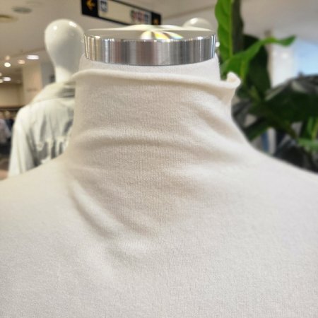 긴팔목폴라니트