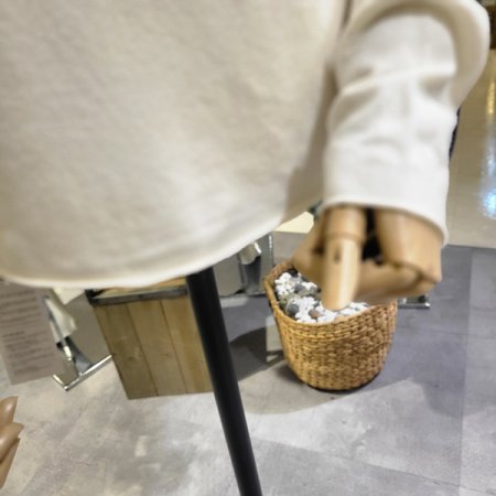 긴팔목폴라니트