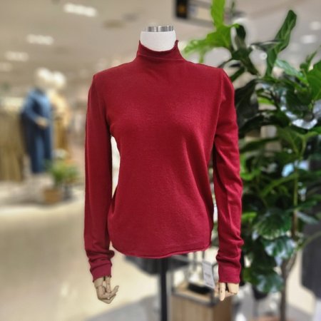 긴팔목폴라니트