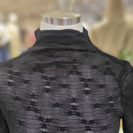 반폴라시스루긴팔이너티