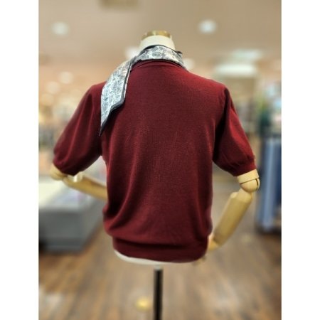 카라스카프단추니트