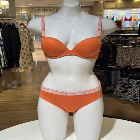 OR 빅밴드 브라 햄팬티 세트