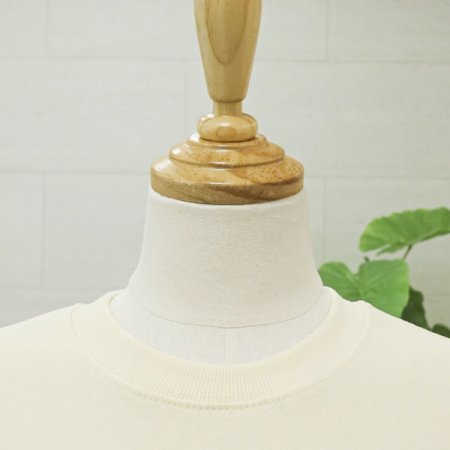 레이어트트레이닝세트