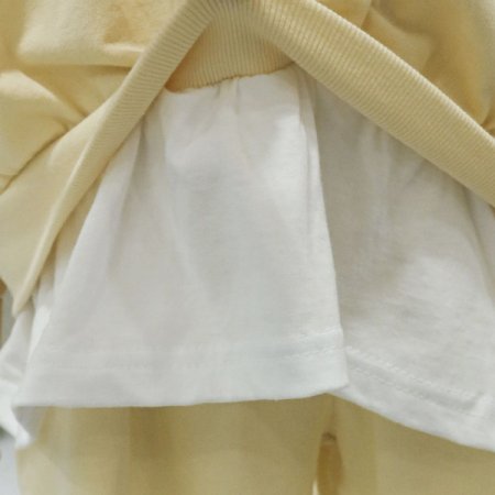 레이어트트레이닝세트