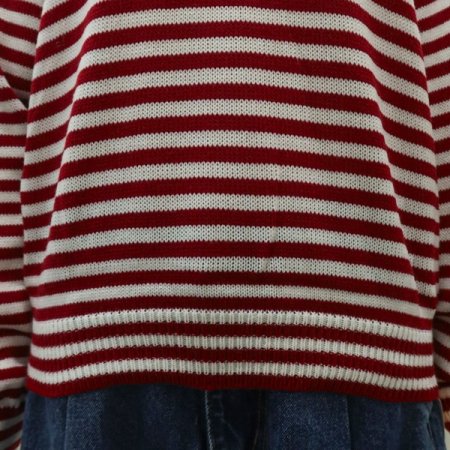 브이넥단가라니트