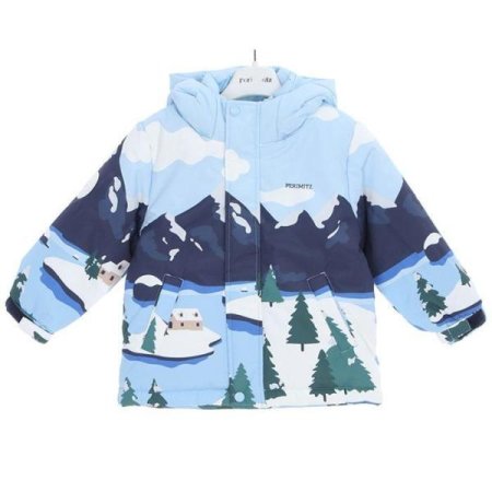 마운틴 스키 점퍼