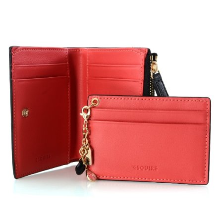 에스콰이아 애플라인 반지갑606