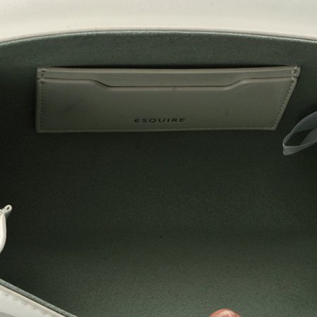 에스콰이아 로테어 미니숄더백