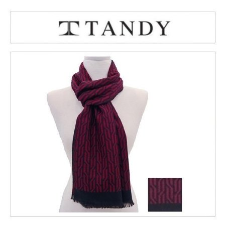 TD 지오맨 머플러