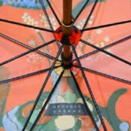 조지가스파 마티스 붉은색의조화 장우산