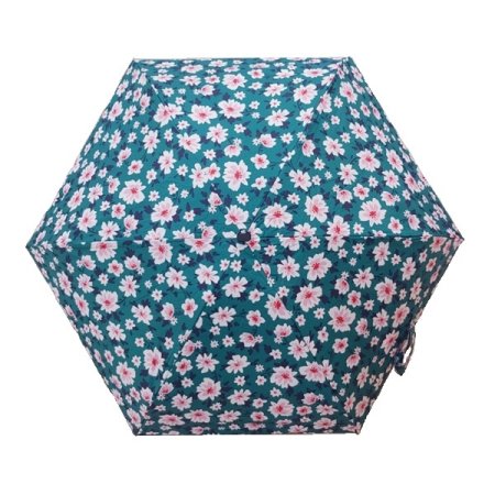 5단납작시티플라워암막코팅우양산3종