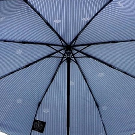스트라이프 자동 우산 NA