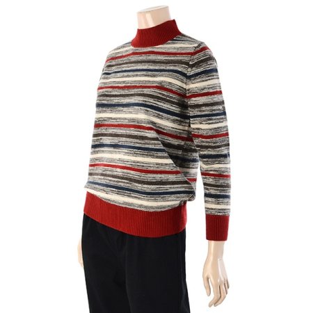 줄무늬반목폴라