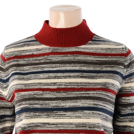 줄무늬반목폴라