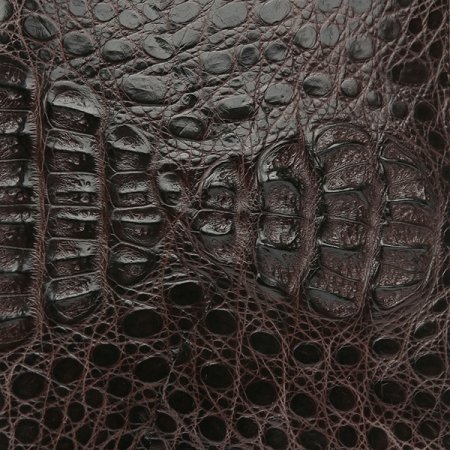 남성악어중지갑